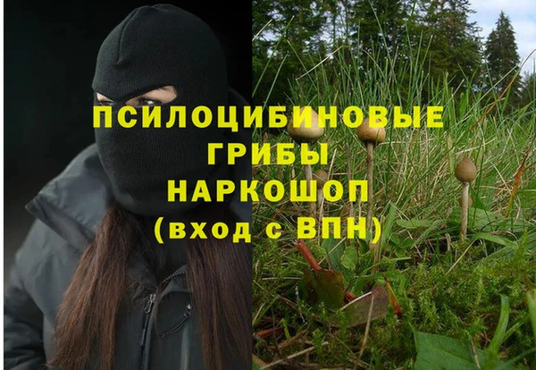 гидра Армянск