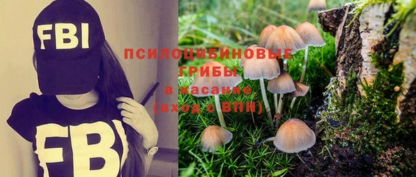 mix Арсеньев