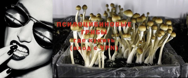 соль ск Аркадак
