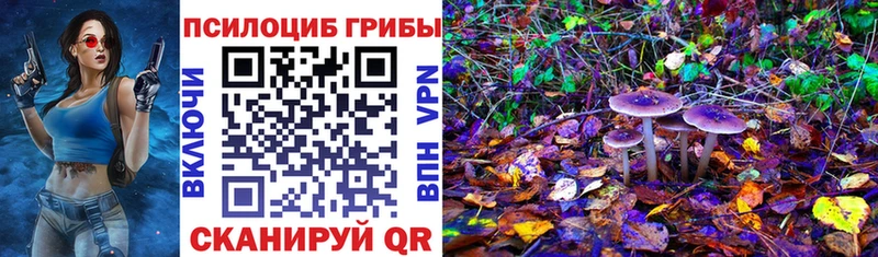 Псилоцибиновые грибы ЛСД  где купить наркотик  blacksprut ТОР  Армянск 